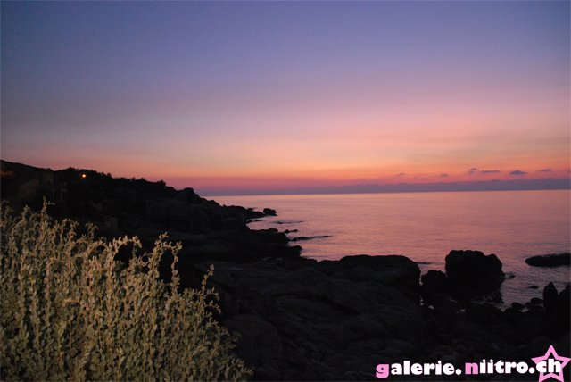 Corse