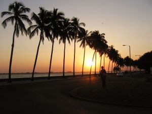 Coucher-de-soleil